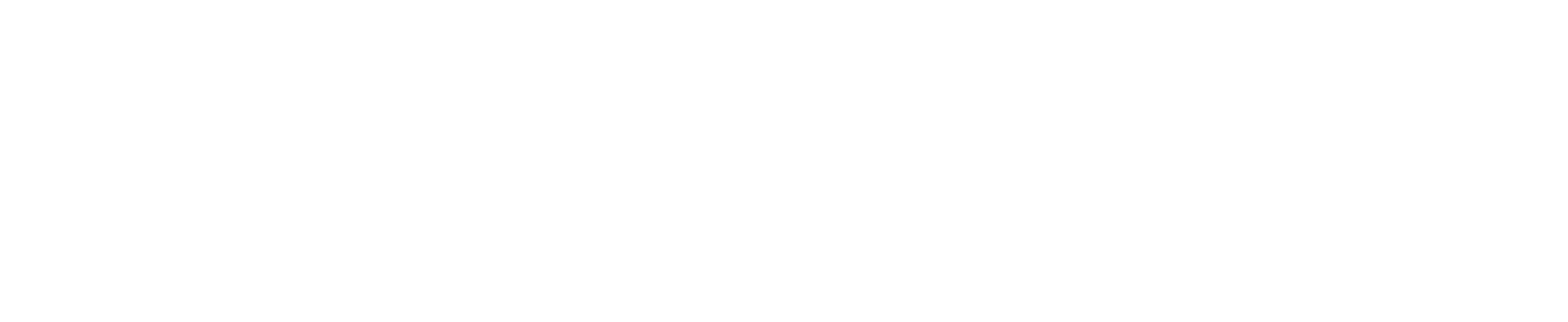 Pinnbrook Horizontal Logo White